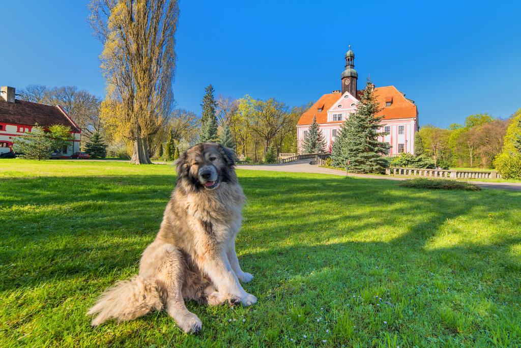 Boutique Palac Warmatowice Sienkiewiczowskie Legnica Exteriör bild